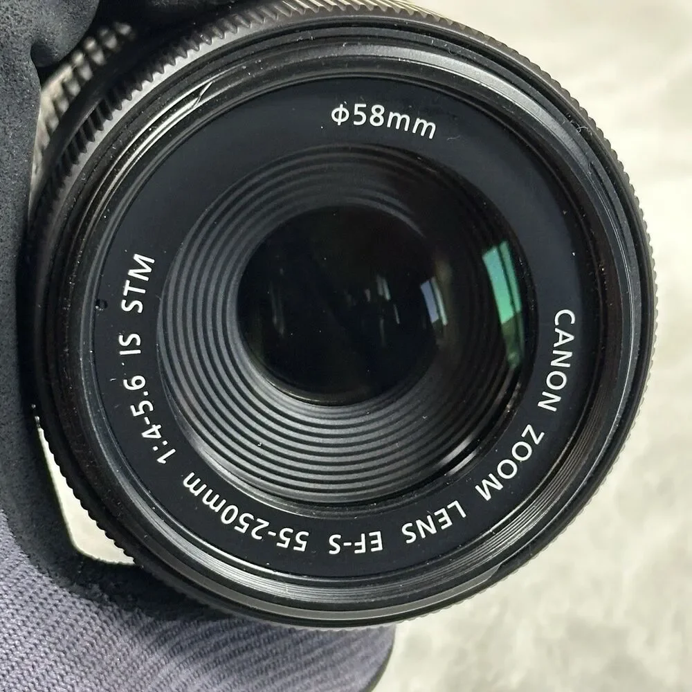 Canon EF-S 55-250mm f/4-5.6 IS STM Lens + Viltrox EF-EOS M Adapter Tested